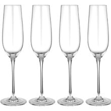 Quinn 285ml Crystal Champagne Glasses (Set of 4)